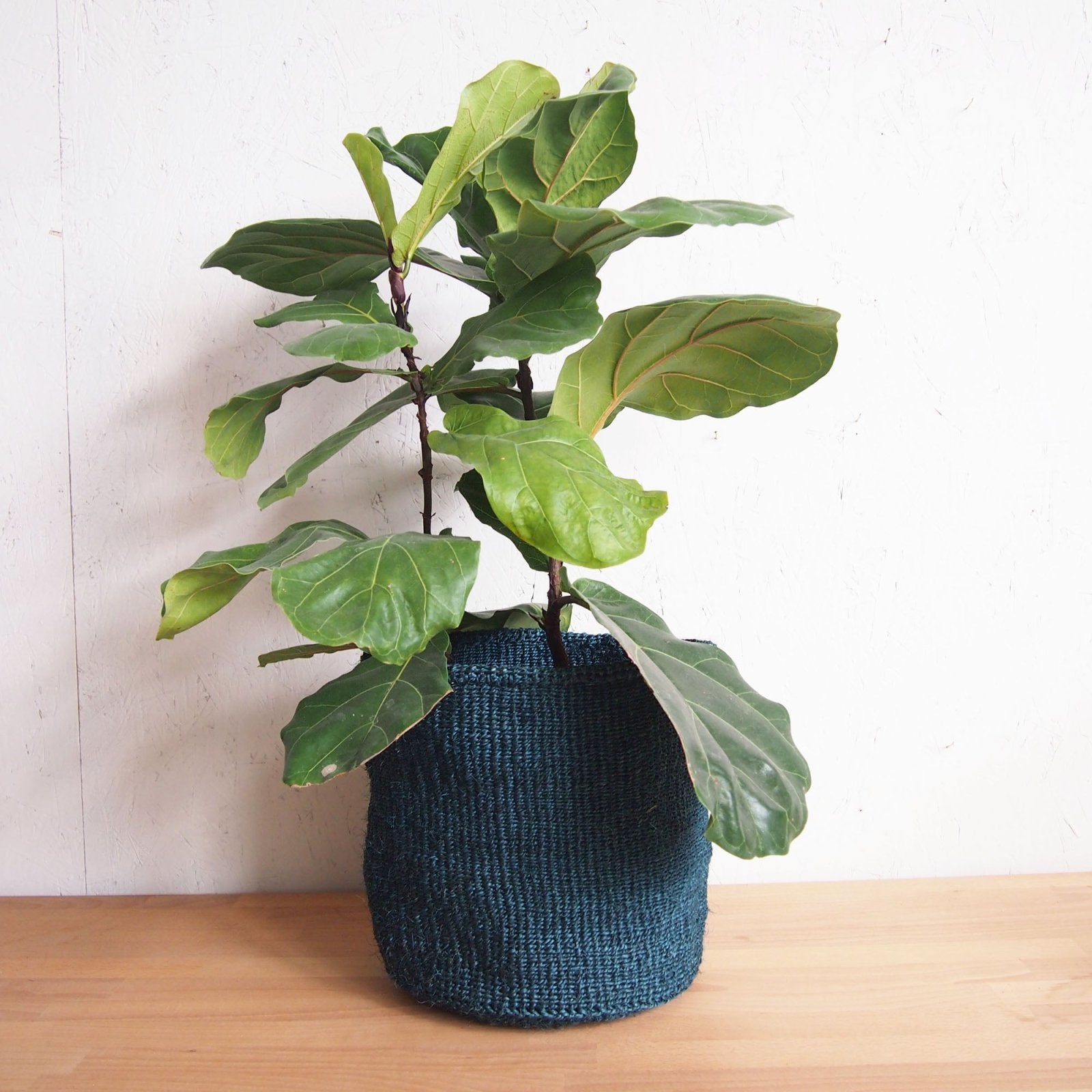 Storage Basket: Ocean - Amsha