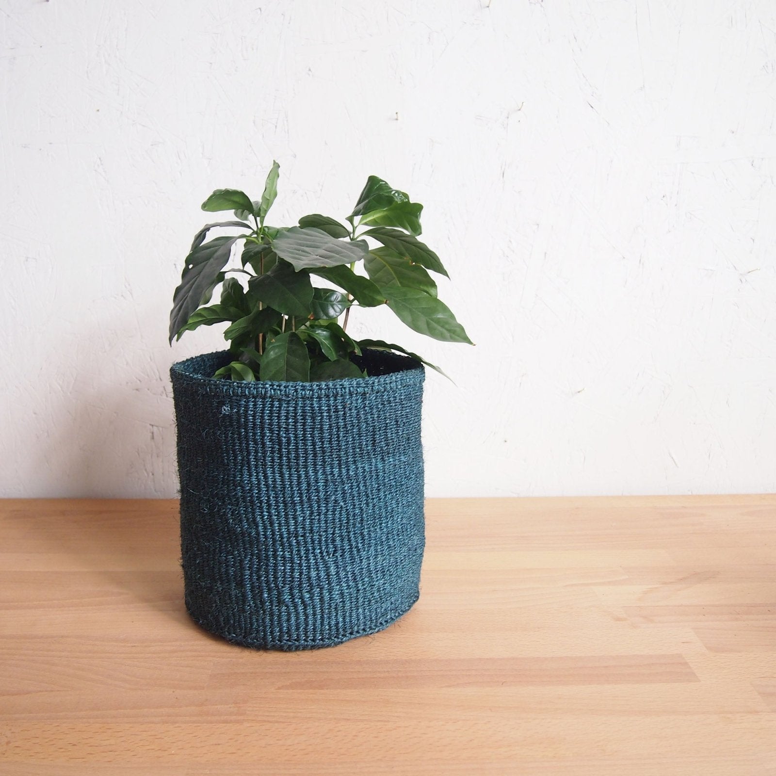 Storage Basket: Ocean - Amsha