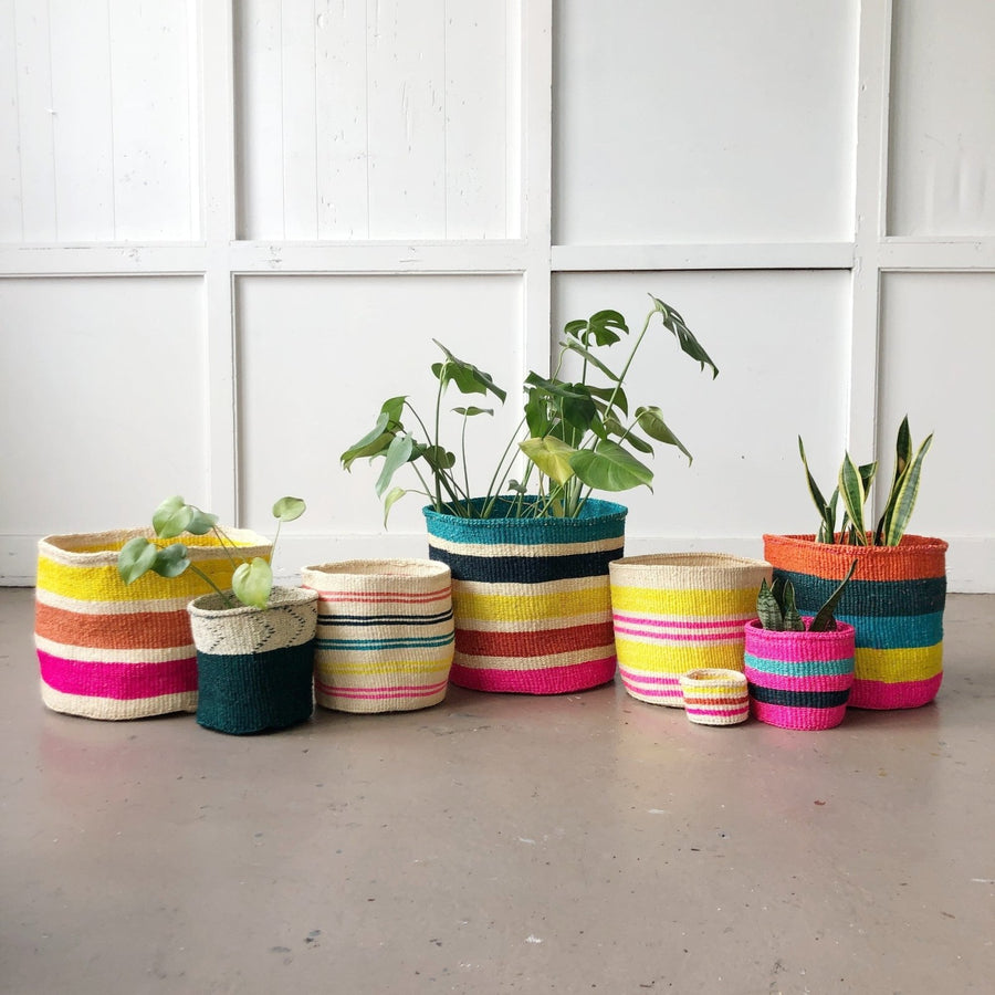 Storage Plant Basket: Rainbow