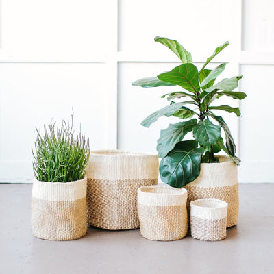 Storage Basket: Smoke Checker - Amsha
