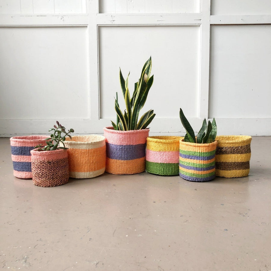 Storage Basket: Tropical Tango - Amsha