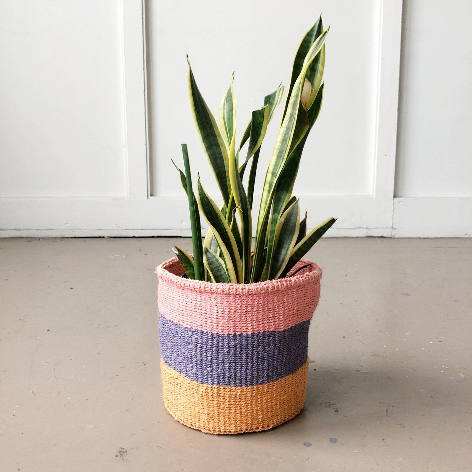 Storage Basket: Tropical Tango - Amsha