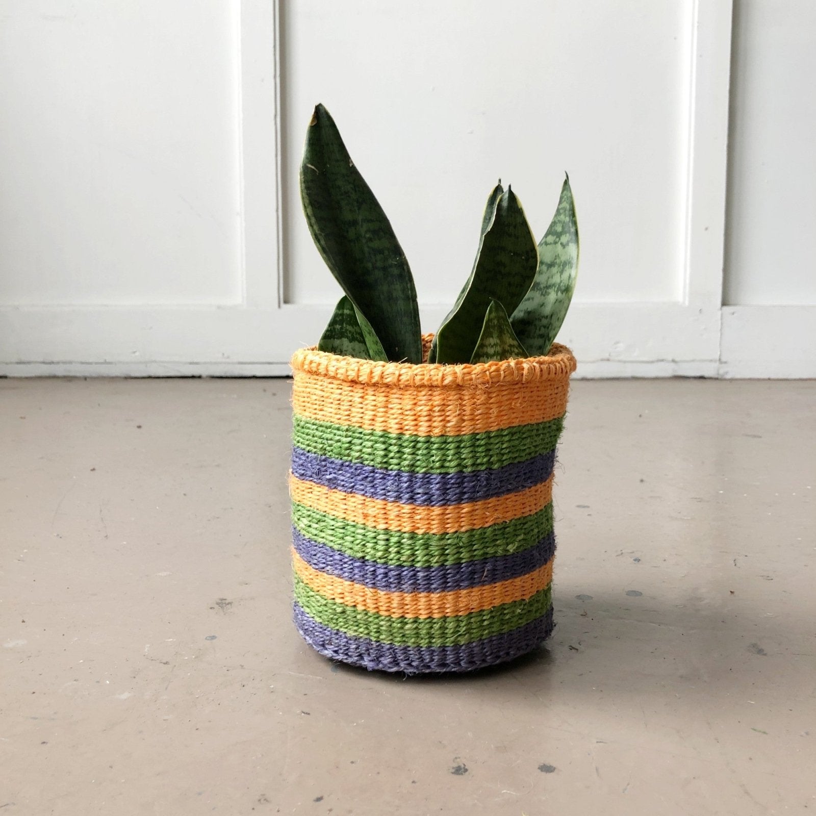 Storage Basket: Tropical Tango - Amsha