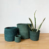 Storage Plant Basket: Forest - Amsha