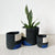 Storage Plant Baskets: Mwimbi