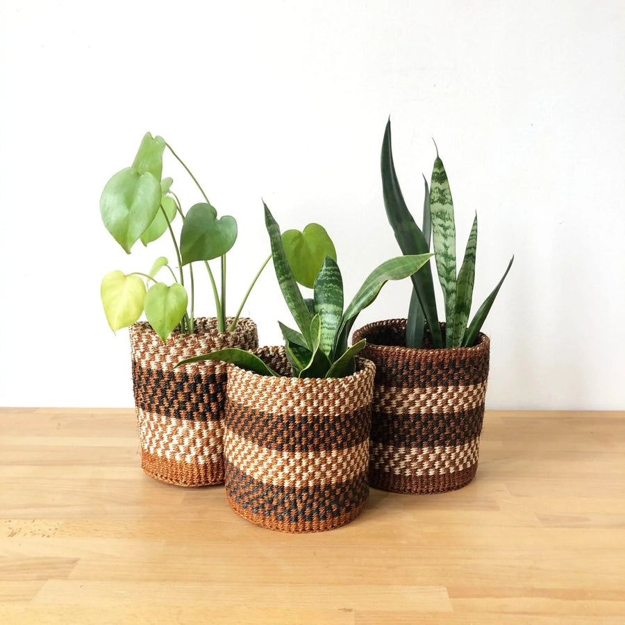 XS Storage Plant Baskets: Checkered (Assorted)