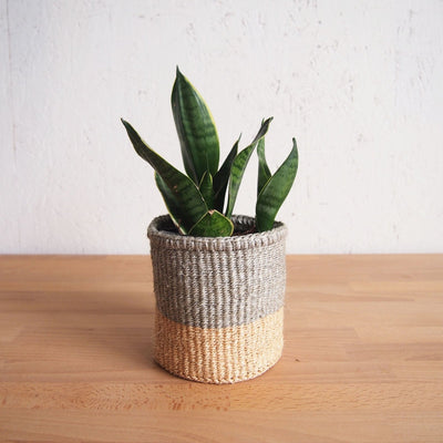XS Storage Basket: Limestone - Amsha