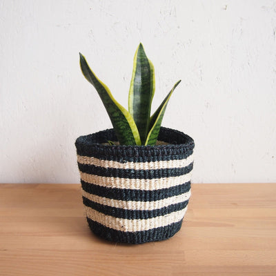 XS Storage Basket: Orca - Amsha